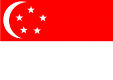 新加坡個人旅游簽